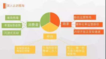 微淘运营全攻略 如何将公域流量转化为私域增长新引擎？
